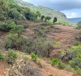 Untitled (Logo) (270 × 254 px)